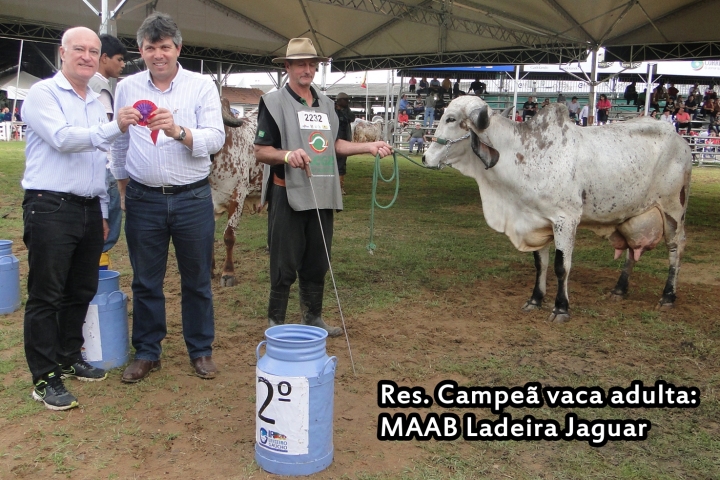 MAAB Ladeira: Reservada campe vaca adulta Expointer 2014