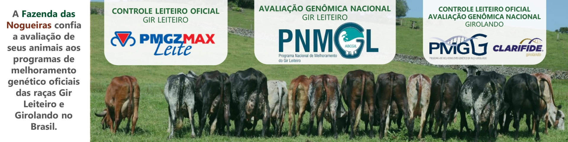 Programas melhoramento