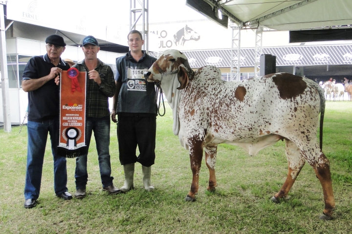 Imola - (irma materna) - Duas vezes campe� bezerra e Res. melhor novilha na Expointer