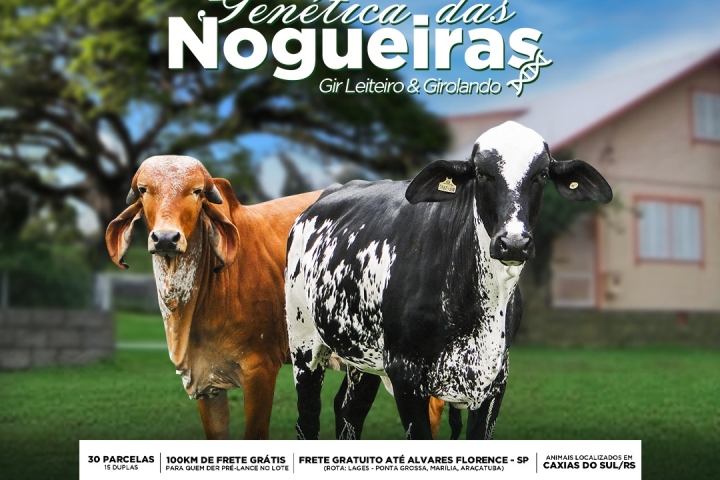 Foto do evento 4� leil�o Gen�tica das Nogueiras