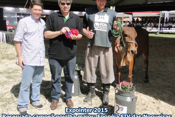 Expointer 2015 (308)