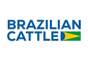 Brazilian Cattle